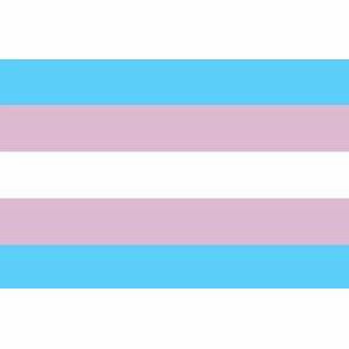 Magnets/Fridge Trans