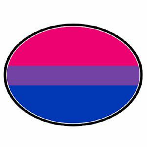 Magnets/Oval Bi