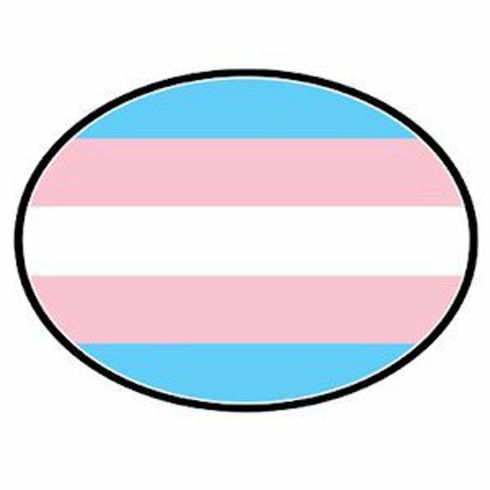 Magnets/Oval Trans