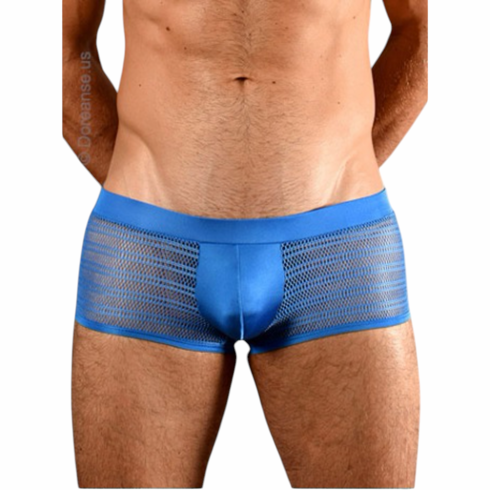 Mesh Trunk Blue