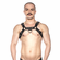 Prowler Red Bull Harness Black