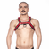 Prowler Red Bull Harness - Red