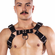 Prowler Red Butch Harness Premium Black
