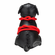 Roped Up Rover Black/Red