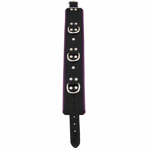 Rouge 3 D-Ring Padded Leather Adjustable Collar Black/Purple Adjustable Leather