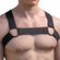 Sport Black Logo Elastic Harness Black