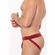 Sport Captivity Jock Burgundy