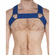 Sport Chevron Harness Royal Blue