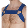 Sport Chevron Harness Royal Blue