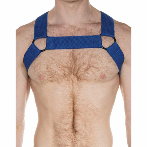 Sport Chevron Harness Royal Blue
