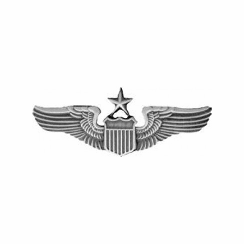 United States Air Force Senior Pilot Pin