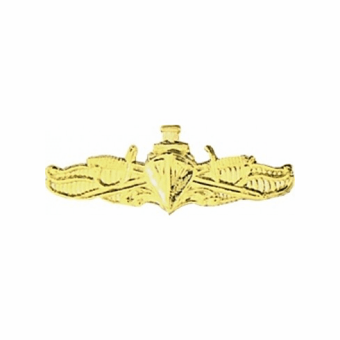 US Navy Surface Warefare Officer Pin