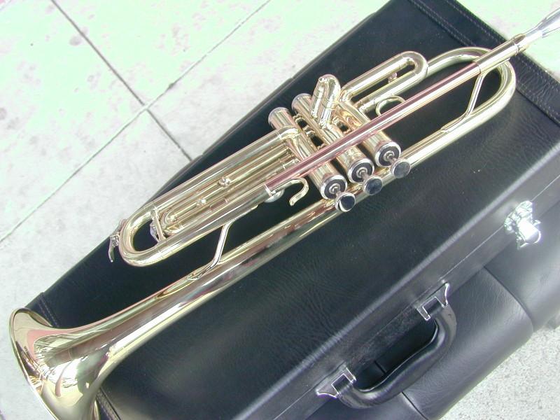 BerkeleyWind Rose Brass Bb Trumpet w Wooden Case