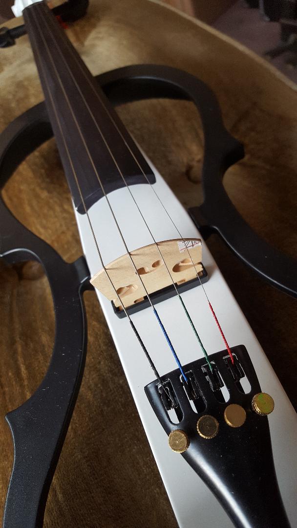 Practice Silently /Perform Electric Violin