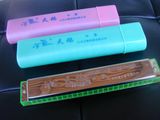 Swan 24 hole Inconceivable Harmonica w/11 Course How to Play Harp
