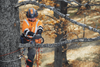 HUSQVARNA T435 TOP HANDLE Arborist Saw with 35cc Engine & 14 Bar/Chain