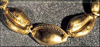Egyptian Cowrie shell CLIP earrings Egyptian Cowrie shell CLIP earrings