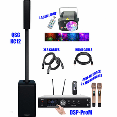QSC KC12 3-way 3000W Array Speaker + Singtronic DSP-ProM Digital Processor Karaoke System