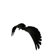 testitem1