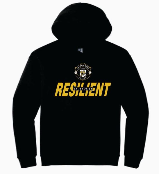 Gildan unisex hoodie