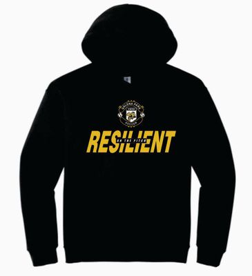 Gildan unisex hoodie