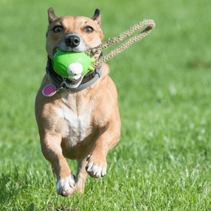 Rope Toy with Fun Alien Face