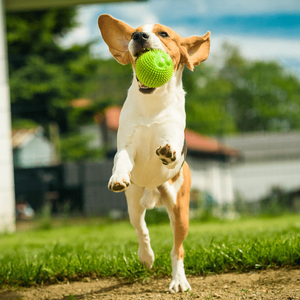 Spiky Ball in Lime Green