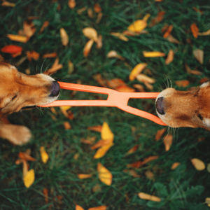 Stretchy Tug of War Toys for Dogs