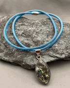 Abalone