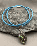 Abalone