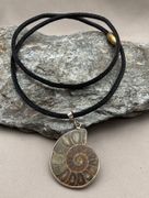 Ammonite w Black Suede