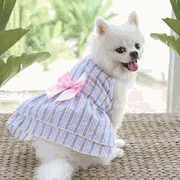 petclothes