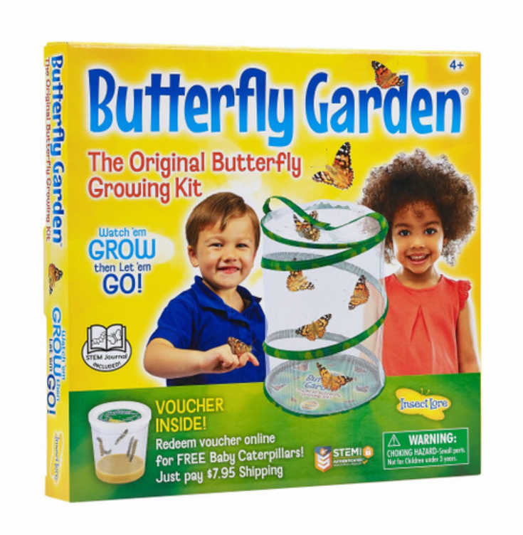 Butterfly Garden