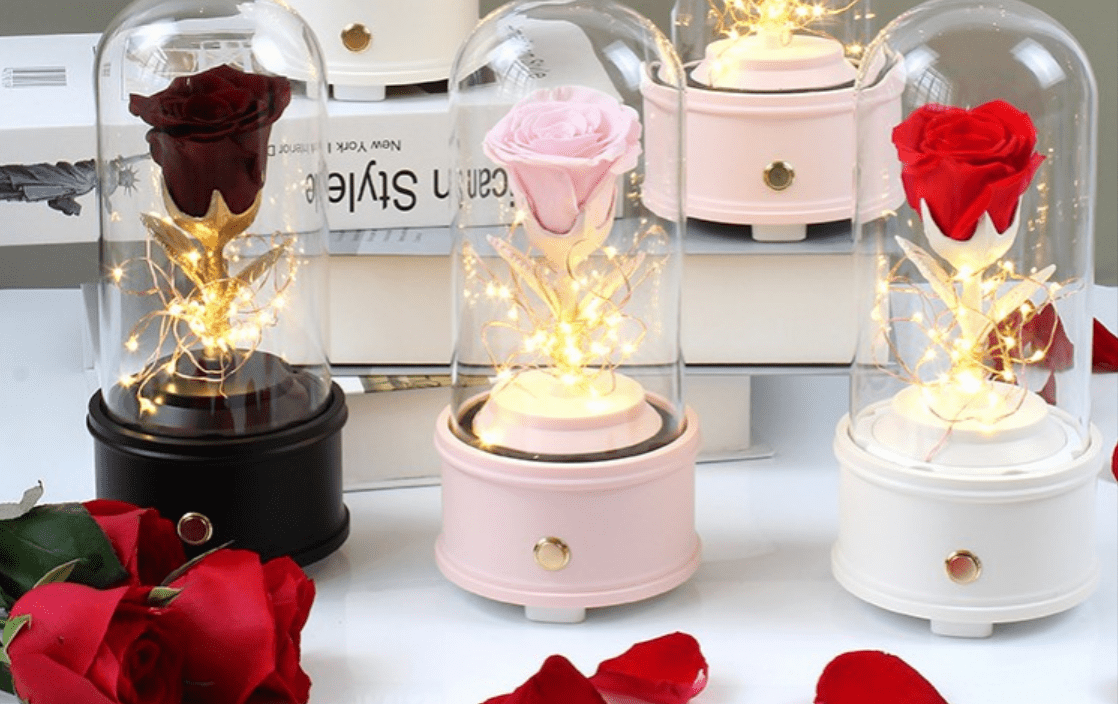 Preserved Rose Glass dome Bluetooth
