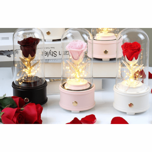 Preserved Rose Glass dome Bluetooth