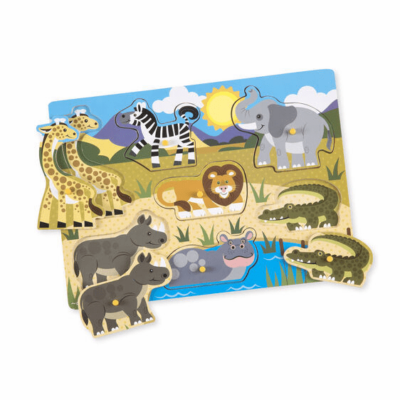 Wooden Peg Puzzle