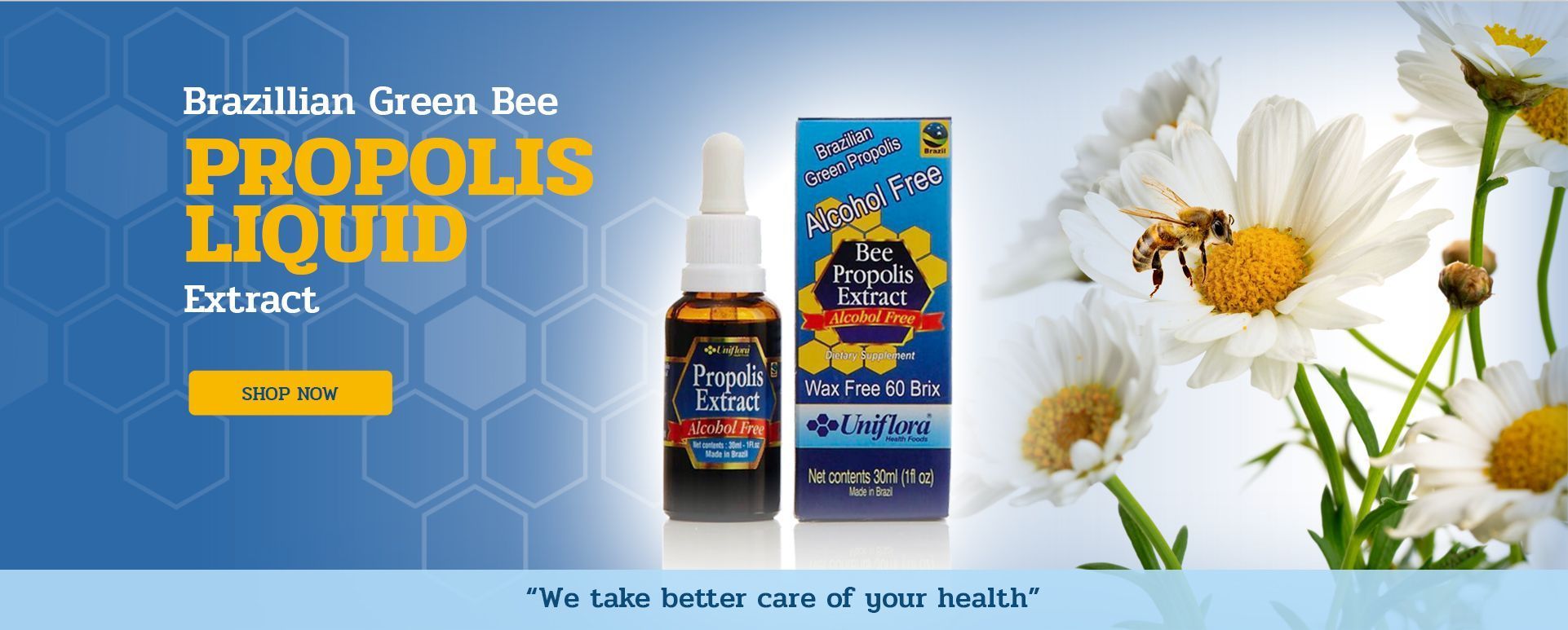 Brazilian Green Bee Propolis Extracts
