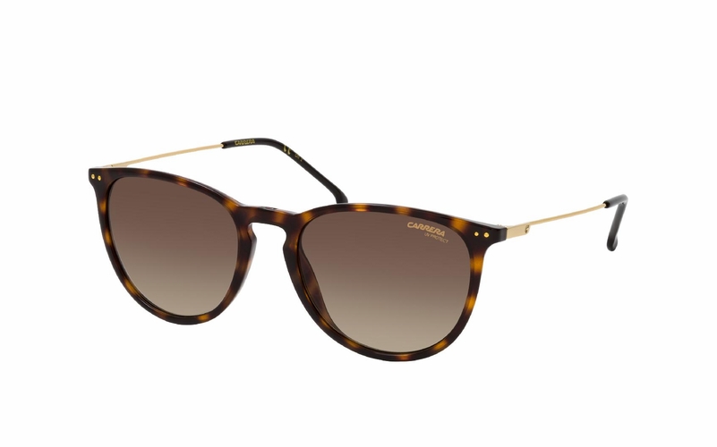Carrera CA 2027T/S 086