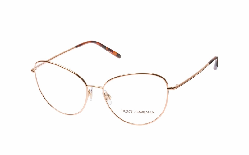 Dolce & Gabbana DG 1301 1298