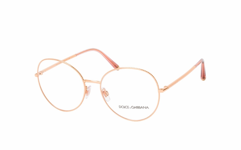 Dolce & Gabbana DG 1313 1298