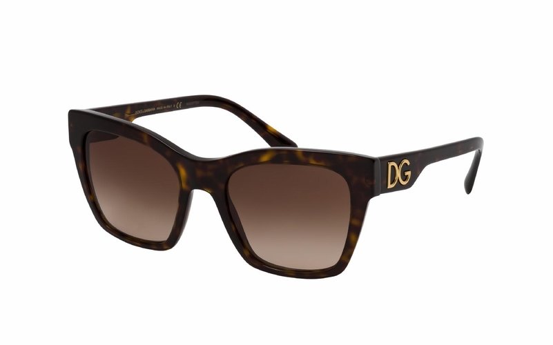 Dolce & Gabbana DG 4384 502/13