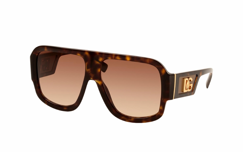 Dolce & Gabbana DG 4401 502/13