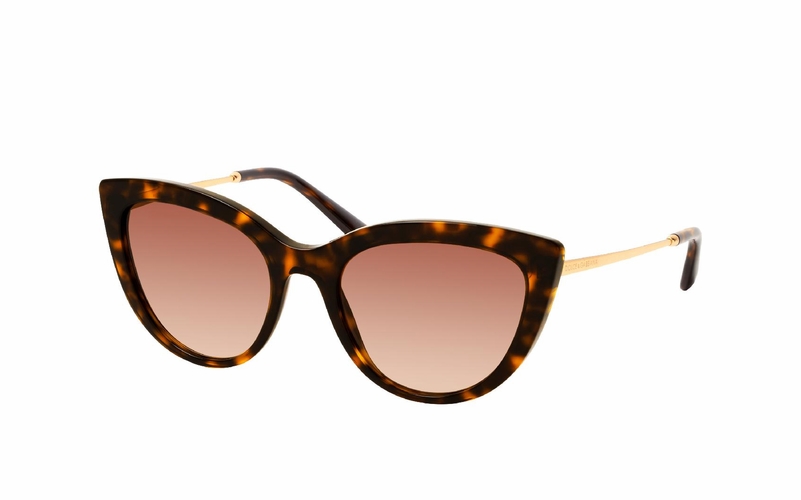 Dolce & Gabbana DG 4408 502/13