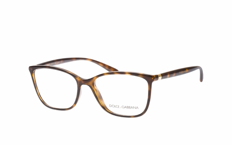 Dolce & Gabbana DG 5026 502