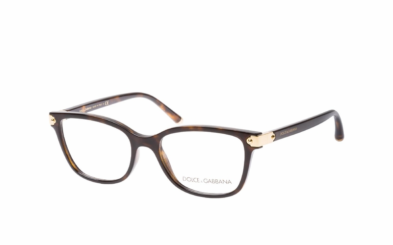 Dolce & Gabbana DG 5036 502