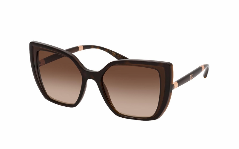 Dolce & Gabbana DG 6138 318513