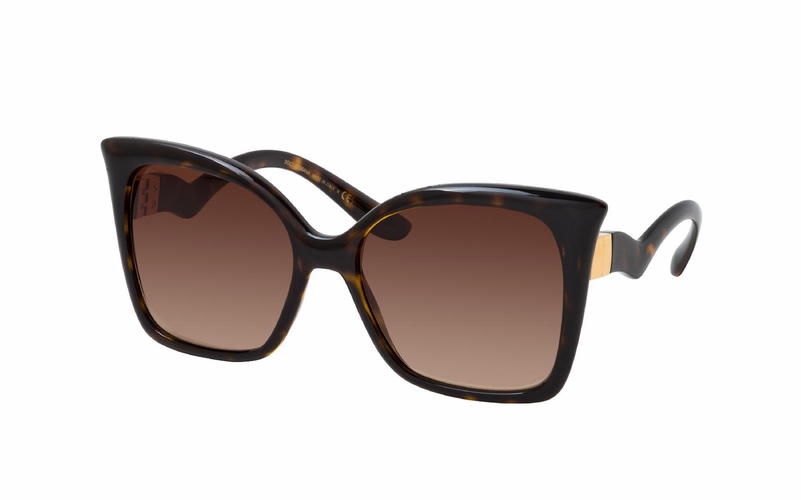 Dolce & Gabbana DG 6168 502/13