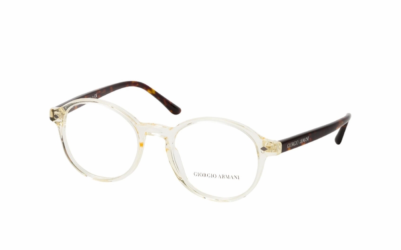Giorgio Armani AR 7004 5896