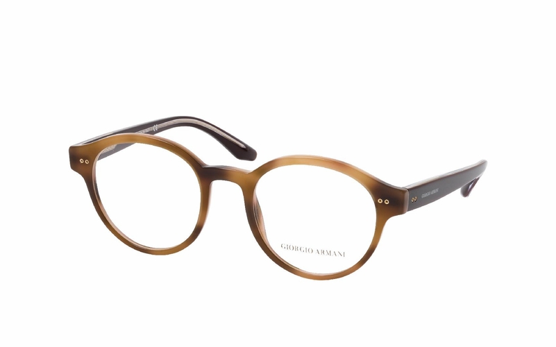 Giorgio Armani AR 7196 5734