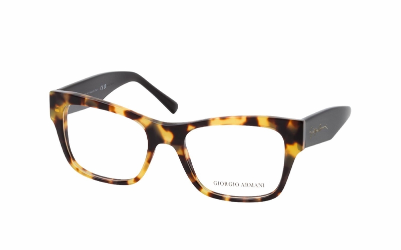 Giorgio Armani AR 7212 5839